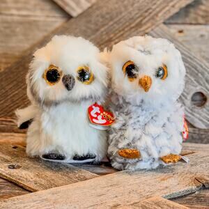 Pair of 2021 Owl Beanie Boos Collection, Owlette & Austin, New with Tags, 6”